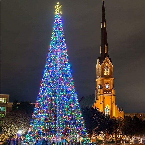 Meet your Posher, Bonnie - Picture 11 of 16